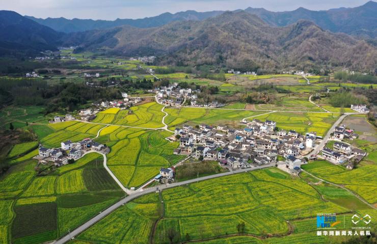 3月15日,在安徽省黄山市黟县柯村拍摄的田园风光(无人机航拍.